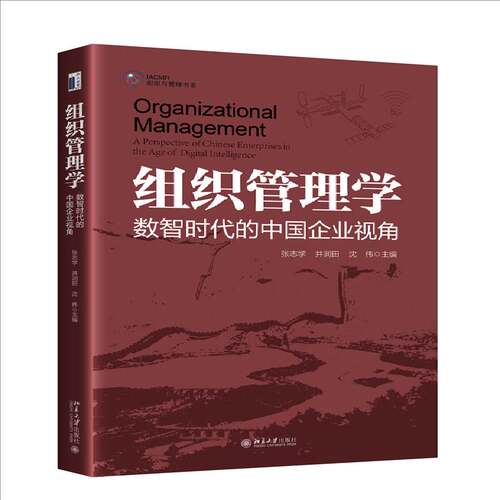 组织管理学:数智时代的中国企业视角:a perspective of Chinese enterprises in the age of digital intellige张志学  书管理书籍