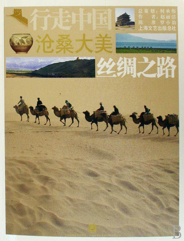 沧桑大美:丝绸之路 书赵丽洁 丝绸之路概况中国自然科学书籍