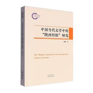 书文学书籍 研究杨辉 中国当代文学中 陕西经验