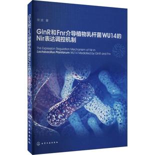 生物科学 植物乳杆菌WU14 食品科学食品微生物发酵和应用研究科研工作者参考书 Nir表达调控机制 GlnR和Fnr介导植物乳杆菌WU14