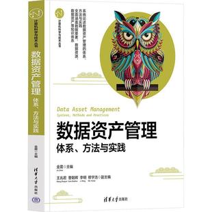 书工业技术书籍 方法与实践金震 数据资产管理 体系