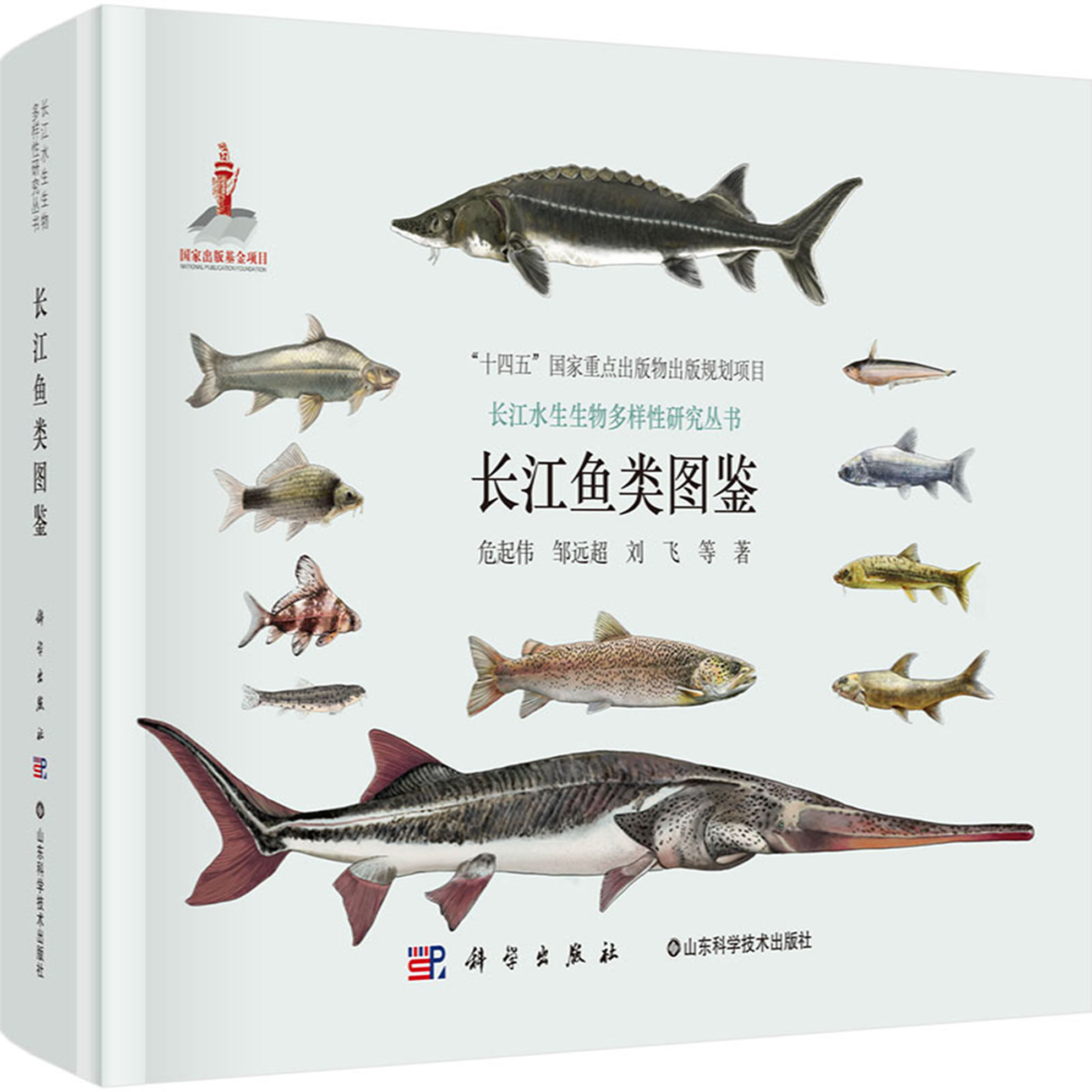 长江鱼类图鉴 危起伟 等 著 “十四五”国家重点出版物规划项目 长江水生生物多样性研究丛书 科学出版社 9787030811295