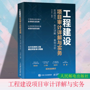 问题分析法律依据整改措施要点分析系统化思维审计会计实战工具书籍 案例分析 工程建设项目审计详解与实务：实战技巧 条文详解