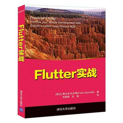 Flutter实战弗兰克·扎米蒂  书工业技术书籍