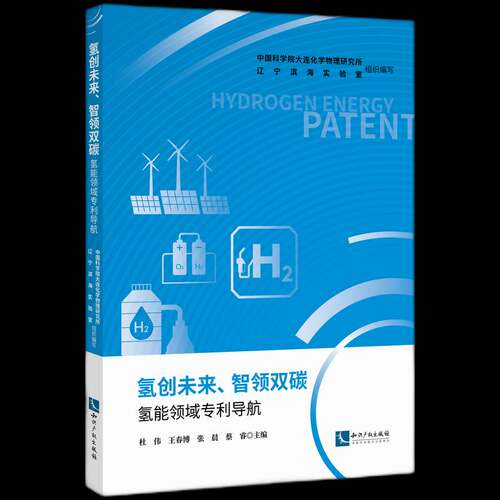 氢创未来、智领双碳:氢能领域专利导航杜伟  书经济书籍
