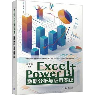 正版包邮 Excel+Power BI数据分析与应用实践 翁东风 Excel和PowerBI数理统计运筹决策运算分析教程 清华大学出版社 9787302683278