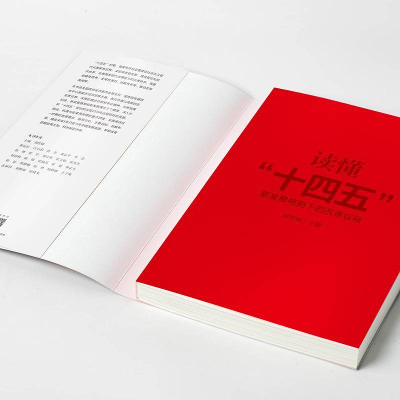 读懂十四五(新发展格局下的改革议程)刘世锦国民经济计划五年计划研究中国普通大众书经济书籍