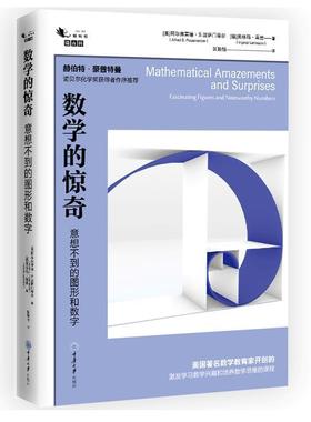 数学的惊奇:意想不到的图形和数字:fascinating figures and noteworthy numbers阿尔弗雷德·波萨门蒂尓  书自然科学书籍
