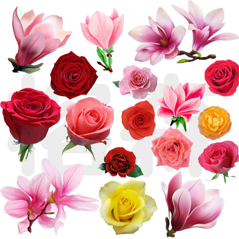 玉兰花车身装饰贴纸个性贴画汽车3D立体创意贴花遮挡划痕遮盖刮痕