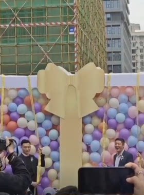气球盒子节日气球放飞网