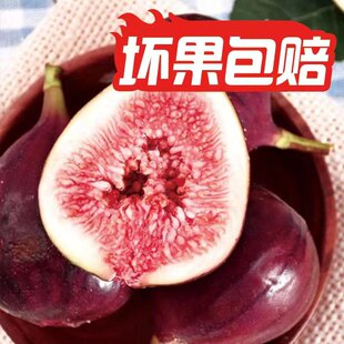 新鲜红皮紫皮波姬红无花果孕妇水果应季大果新鲜无花果鲜果整箱