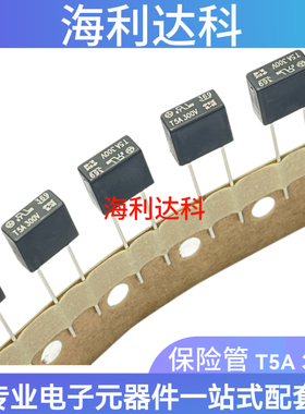 369方形 369 T5A 300V 超小型 TE5延时 慢断 保险丝 36915000000