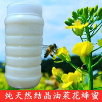 2025年油菜花蜂蜜結(jié)晶春蜜自產(chǎn)
