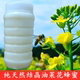 2025年纯正油菜花蜂蜜油菜蜜天然农家自产结晶油菜花蜜成熟蜜春蜜