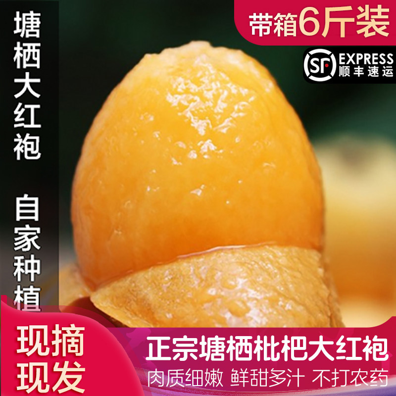 塘栖枇杷 正宗大红袍塘西琵琶带箱6/5斤装红毛丫头新鲜非东山顺丰