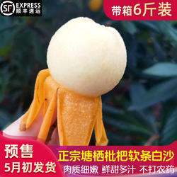 塘栖枇杷 正宗白沙塘西琵琶带箱5/6斤装白玉非东山甜新鲜水果顺丰