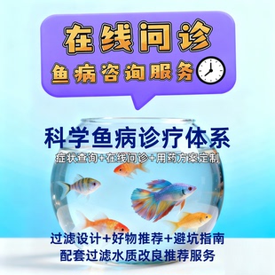 鱼病咨询金鱼锦鲤疾病预防热带观赏鱼冷水鱼咨询鱼医生