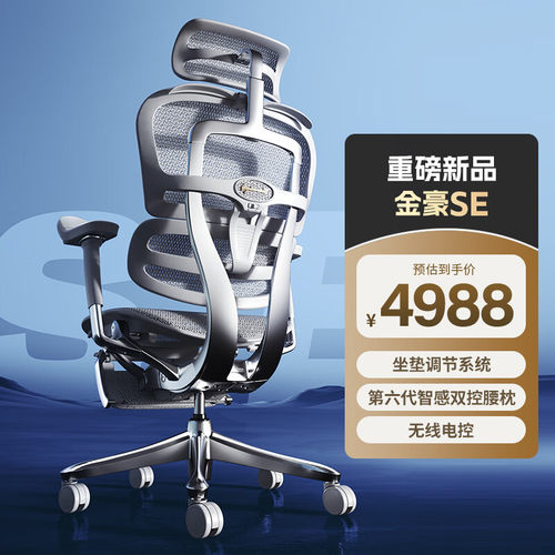 Ergonor保友金豪SE奢华人体工学椅家用/办公电脑椅老板椅