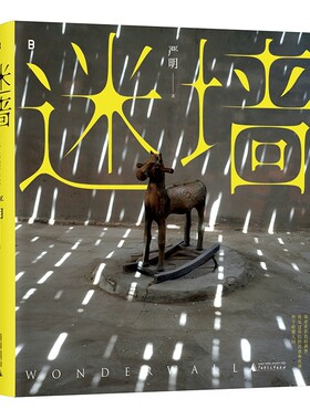 迷墙  侯登科奖得主、 摄影师严明作品彩色摄影集，百余幅新作集结面世