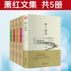 精装 作品选萧红文集 呼兰河传 小城三月 萧红文集5册 商市街萧红作品全集萧红经典 生死场 马伯乐 现当代文学书籍小说