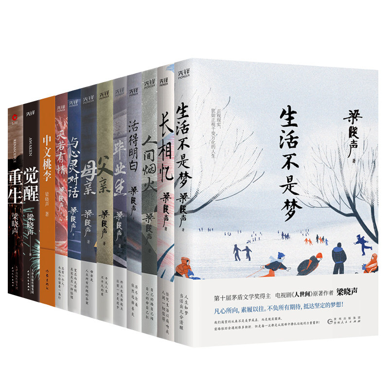 梁晓声作品【套装12册】活得明白+天若有情+生活不是梦+中文桃李+父亲+母亲+人间烟火等 现当代文学 中国当代小说书