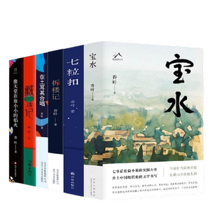 乔叶作品集 宝水 最慢的活着 七粒扣 拆楼记 像天堂在放小小的焰火 在土耳其合唱 藏珠记 第十一届茅盾文学奖获得者作品 正版书籍