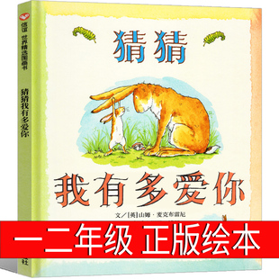 10岁 社非注音版 猜猜我有多爱你 非拼音版 猜猜我有我爱你 绘本一年级正版 儿童幼儿故事书二年级课外书 明天出版