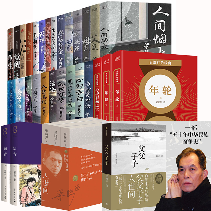 梁晓声作品集全套33册 人世间 人间清醒 雪城知青年轮 重生觉醒 返城