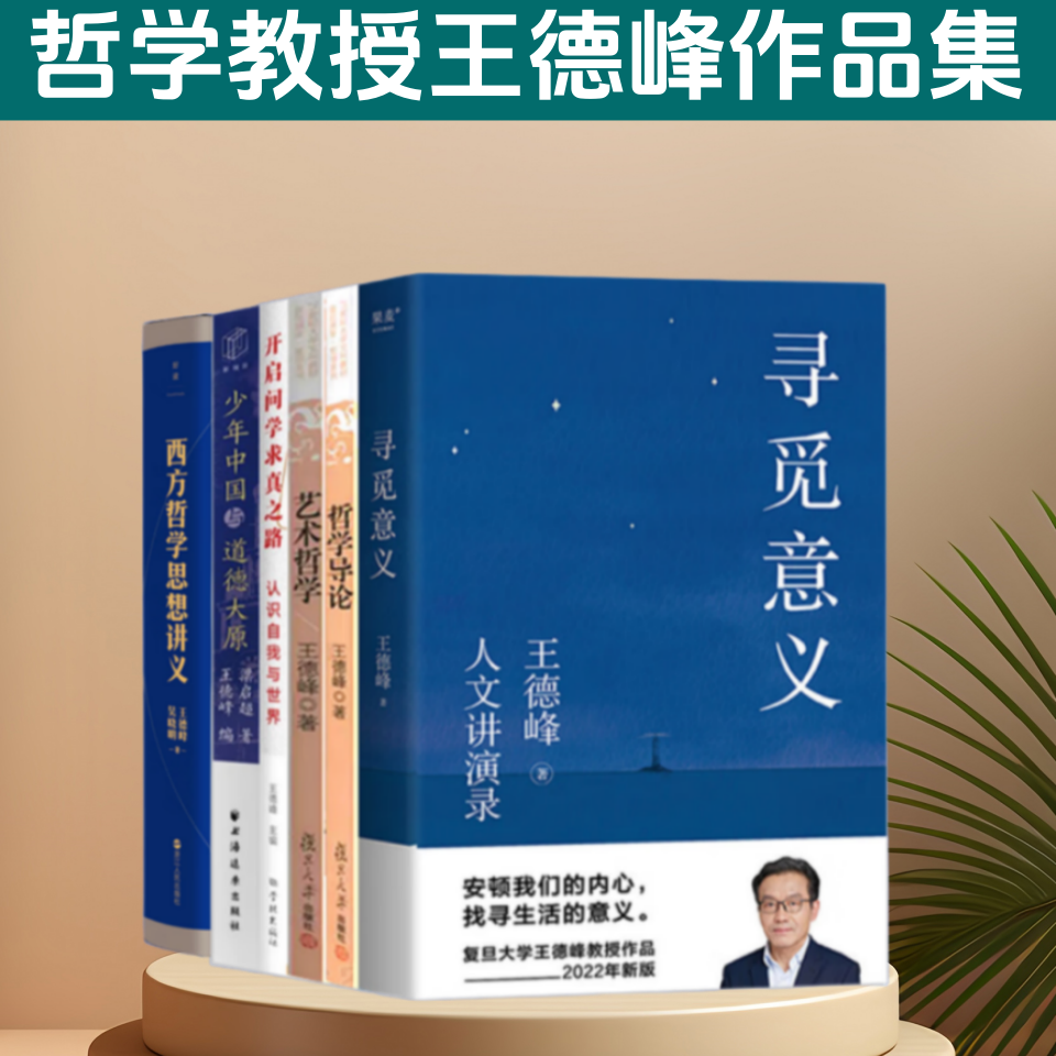 哲学教授王德峰书籍作品 共6册 哲学导论 寻觅意义西方哲学思想讲义少年中国与道德大原  白话金刚经 白话坛经  中西哲学系列书籍