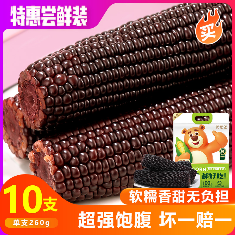 新鲜现摘黑糯玉米谷田记