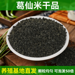葛仙米干货5g恩施特产葛鲜米精选颗粒均匀无杂质