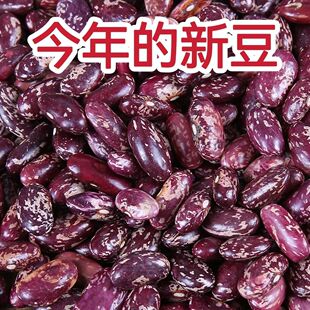 云南昭通镇雄本地花金豆农家自种花芸豆红腰豆2025年新豆