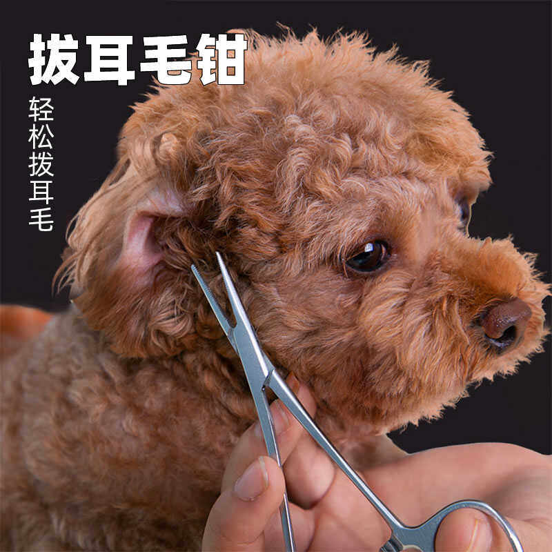 宠物猫狗耳毛钳不锈钢止血钳工具