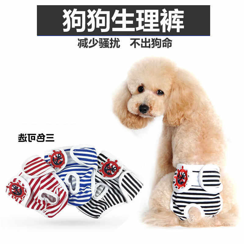 小狗防交配母犬生理期姨妈裤