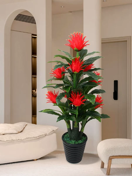 Товары от 万家仓花卉