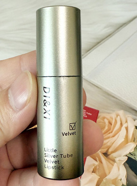 DIXI小银管丝绒唇泥哑光显白唇泥持久显色自然百搭不易沾杯口红