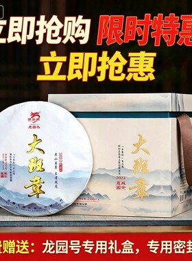 云南普洱茶龙园号普洱茶生茶 2023年早春茶大班章 380g云南七子饼