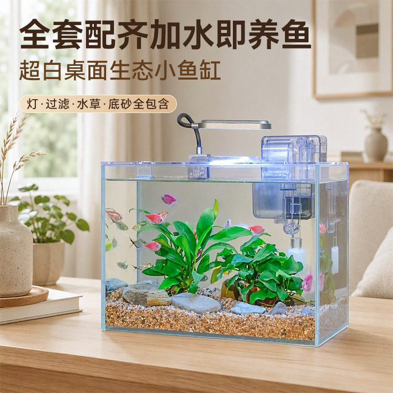 桌面生态水景缸经典款含水草造景玻璃鱼缸生态缸草缸带过滤