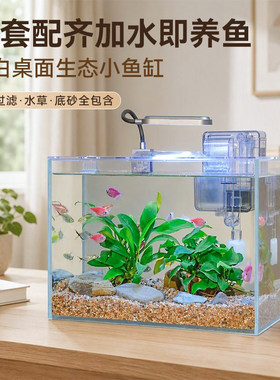 桌面生态水景缸经典款含水草造景玻璃鱼缸生态缸草缸带过滤