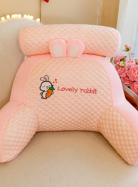 粉色少女心冰丝豆豆绒腰枕靠垫床上枕头可拆洗腰靠夏季沙发超大号