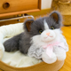 正版 仿真毛绒玩具猫咪玩偶灰色蕾丝领结蝴蝶结布偶猫生日礼物女孩
