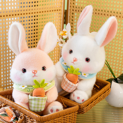 安抚小兔子抱着胡萝卜长耳朵