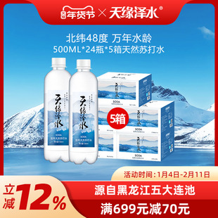 天缘泽水 饮用天然苏打水500ml*24瓶*5箱 不含气 弱碱性水 整箱