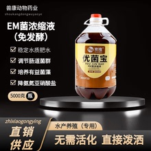 EM菌水产养殖浓缩液乳酸菌芽孢杆菌益生菌em菌种鱼塘肥水改底调水