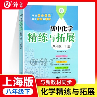 2025新版初中化学精练与拓展八年级下册同步上海新教材每日精炼拓展提升综合测评初中八下数学8年级第二学期拓展题上海教育出版社