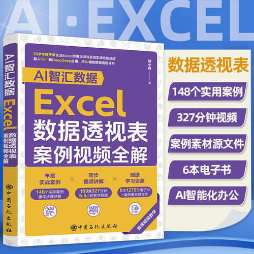 AI智汇数据Excel数据透视表案例视频全解 Excel数据透视表实用操作技巧大全书excel数据分析财务报表制作从入门到精通deepseek