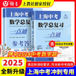 2025上海中考数学总复习一点通初三数学总复习中考数学专项训练上海初中数学真题练习上海教育出版社初三数学中考总复习点要全新