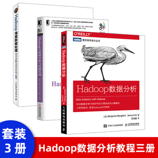 技术详解与项目实战 Hadoop海量数据处理 NoSQL架构模式 大数据处理教程书籍 网络编程书籍人民邮电 第2版