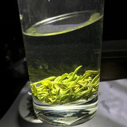 湘西古丈毛尖2025新茶特级浓香型嫩芽春茶一芽一叶贡茶茶农手工茶