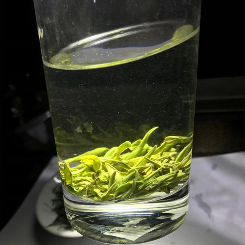 湘西古丈毛尖2026新茶特级浓香型嫩芽春茶一芽一叶贡茶茶农手工茶